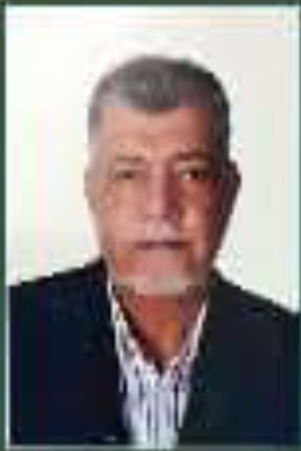 علي محمد الأمين